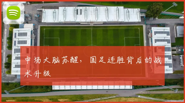 中场大脑苏醒，国足连胜背后的战术升级