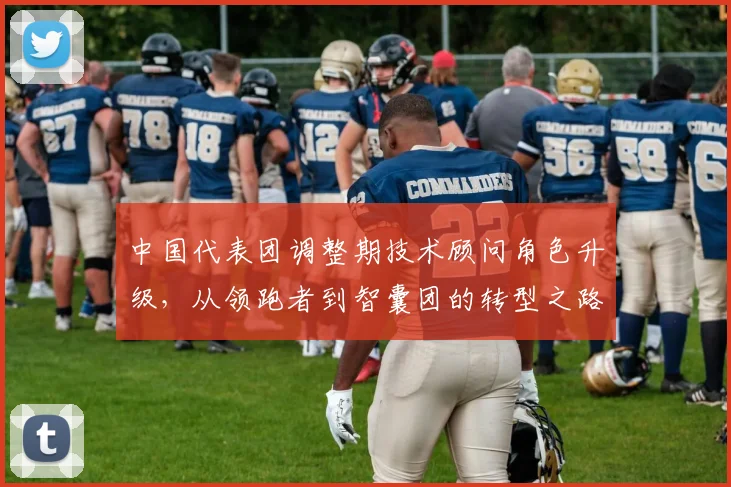 中国代表团调整期技术顾问角色升级，从领跑者到智囊团的转型之路