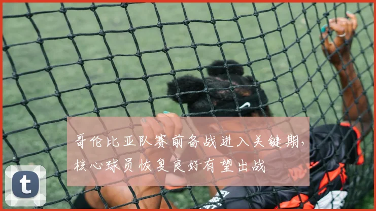 哥伦比亚队赛前备战进入关键期，核心球员恢复良好有望出战