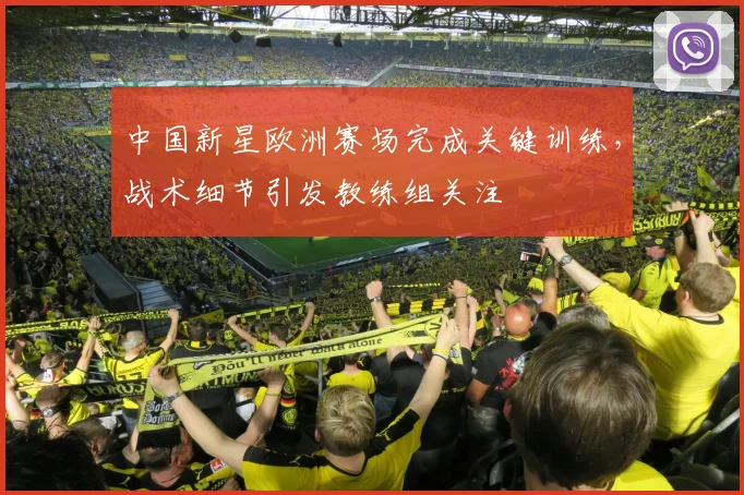 中国新星欧洲赛场完成关键训练，战术细节引发教练组关注