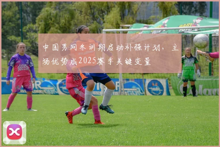 中国男网冬训期启动补强计划，主场优势成2025赛季关键变量