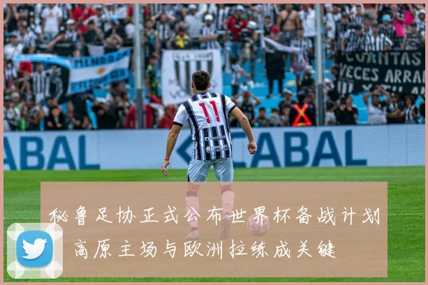 秘鲁足协正式公布世界杯备战计划，高原主场与欧洲拉练成关键